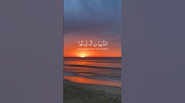 سورة النساء // والله يريد ان يتوب عليكم // القارئ ياسر الدوسري