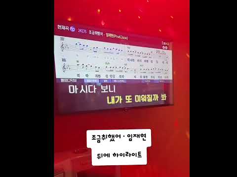 임재현 모창으로 부른 조금취했어 커버