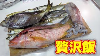 釣った魚全種類使って豪華料理5品作る！！