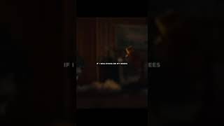 Kodaline Brother Status Video