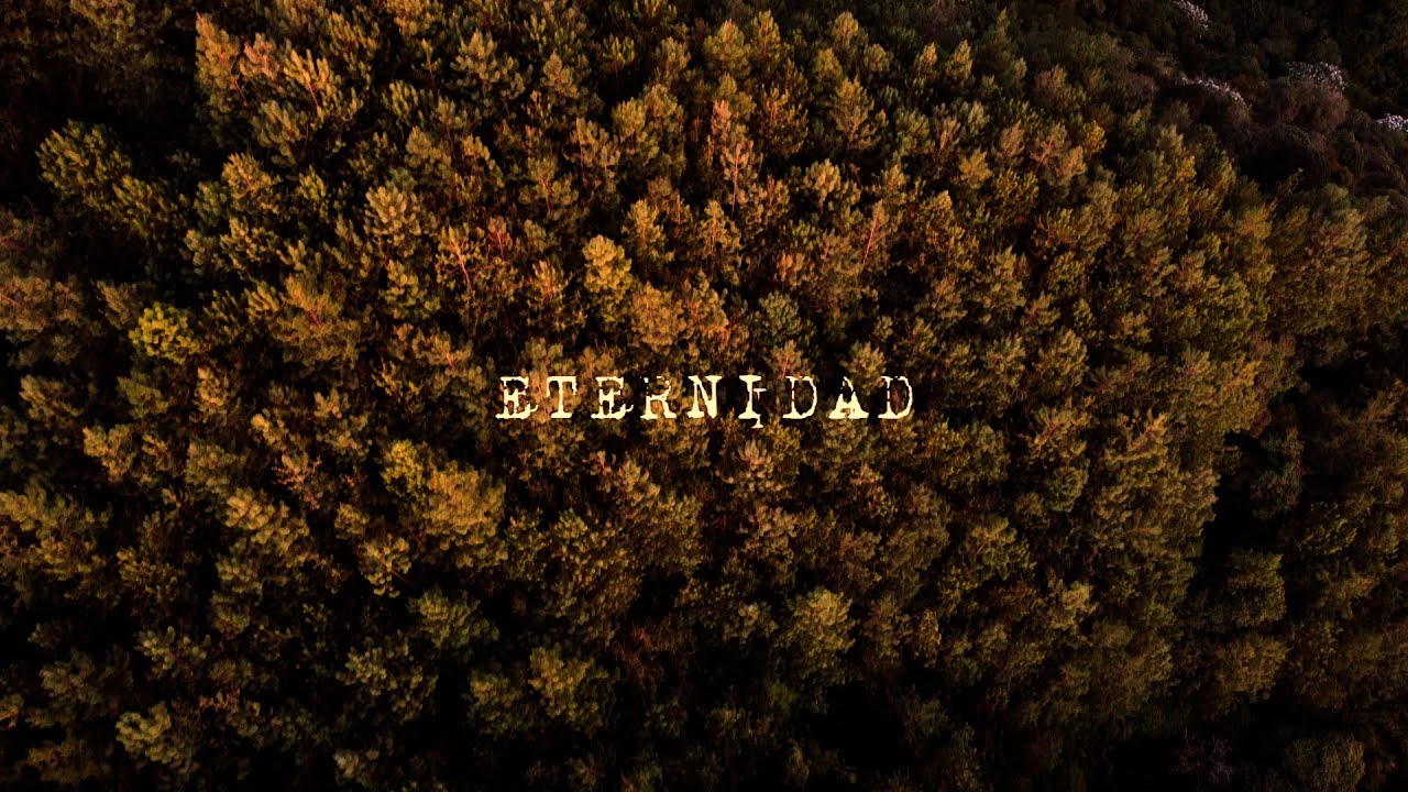 Back on course - Eternidad (Official Video)