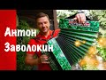 Заволокин шпарит на гармони!!! Дома, на балконе!