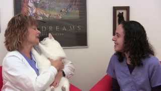 Ask The Cat Doctor TV screenshot 1