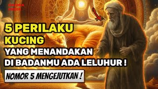 MENGEJUTKAN❗ 5 Perilaku Kucing Terhadapmu Yang Menandakan Di Badanmu Ada Leluhur Sakti!🔥🔥