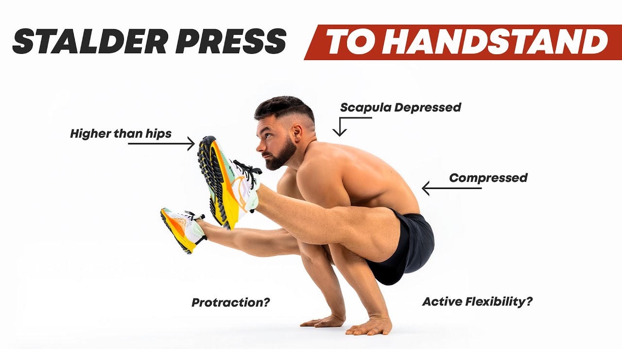 Как перейти от жима Стальдера к стойке на руках — что вам действительно нужно тренировать