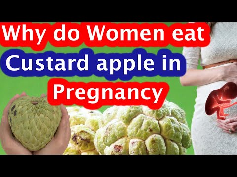 Why do women eat custard apple during pregnancy || Is Custard apple good to eat for pregnant women - YouTube Why do women eat custard apple during pregnancy || Is Custard apple good to eat for pregnant women - YouTube