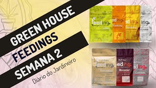 All about Fertilizers Green House Feeding - Gardener's Diary Week 2
