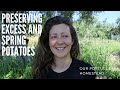 Learning old skills for the future - Preserving excess and spring potatoes- Our Portuguese Homestead