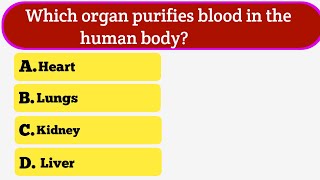 GK questions in English || General knowledge Quiz BRAIN BOOSTER || GK Hub Study 
