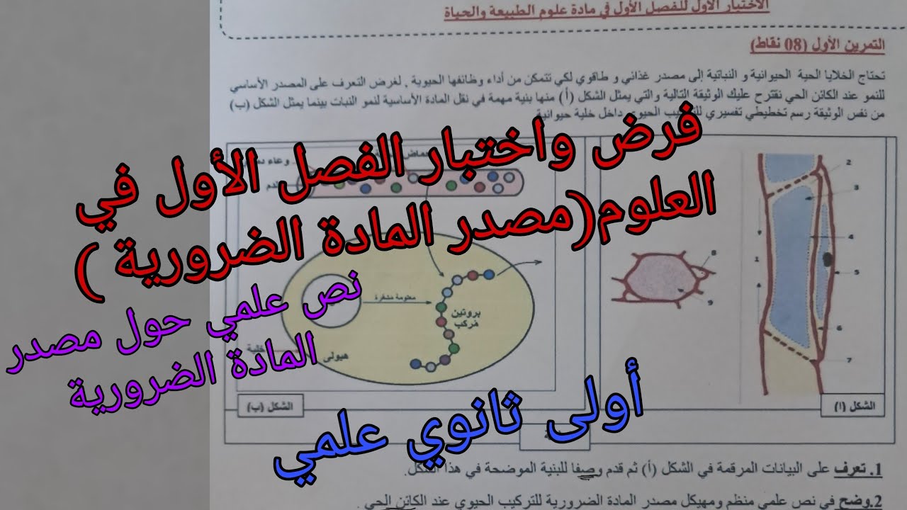 فرض واختبار الفصل الأول في العلوم الطبيعية للسنة الأولى ثانوي علمي حول مصدر المادة الضرورية للتركيب