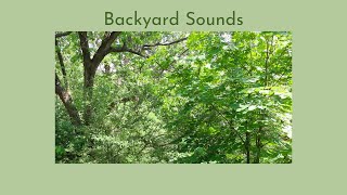 Backyard Sounds