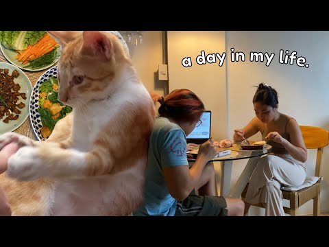 silent vlog | foster cats, korean chicken wrap, working out ✨