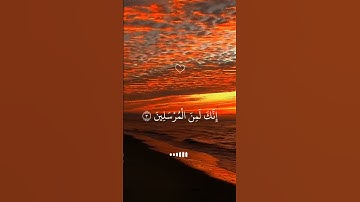 سورة يس #قران_كريم #قرآن #المصحف