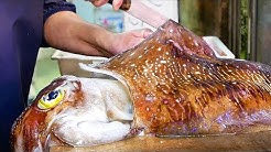 Japanese Street Food - GIANT CUTTLEFISH Sashimi Seafood Okinawa Japan - Durasi: 31.13. Japanese Street Food - GIANT CUTTLEFISH Sashimi Seafood Okinawa Japan - Durasi: 31.13.