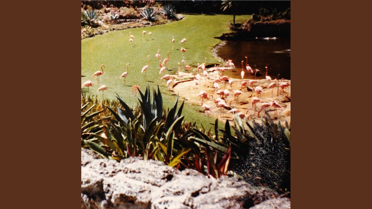 Yellow Calcite adlı videoyu YouTube'da izle Yellow Calcite adlı videoyu YouTube'da izle