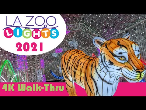 فيديو: LA Zoo Lightxs في Griffith Park: الدليل الكامل