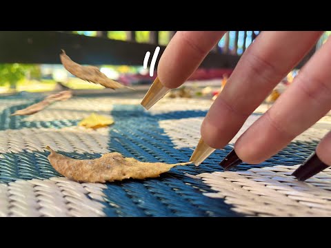 Intense Textured Surface Scratching & Tapping ASMR