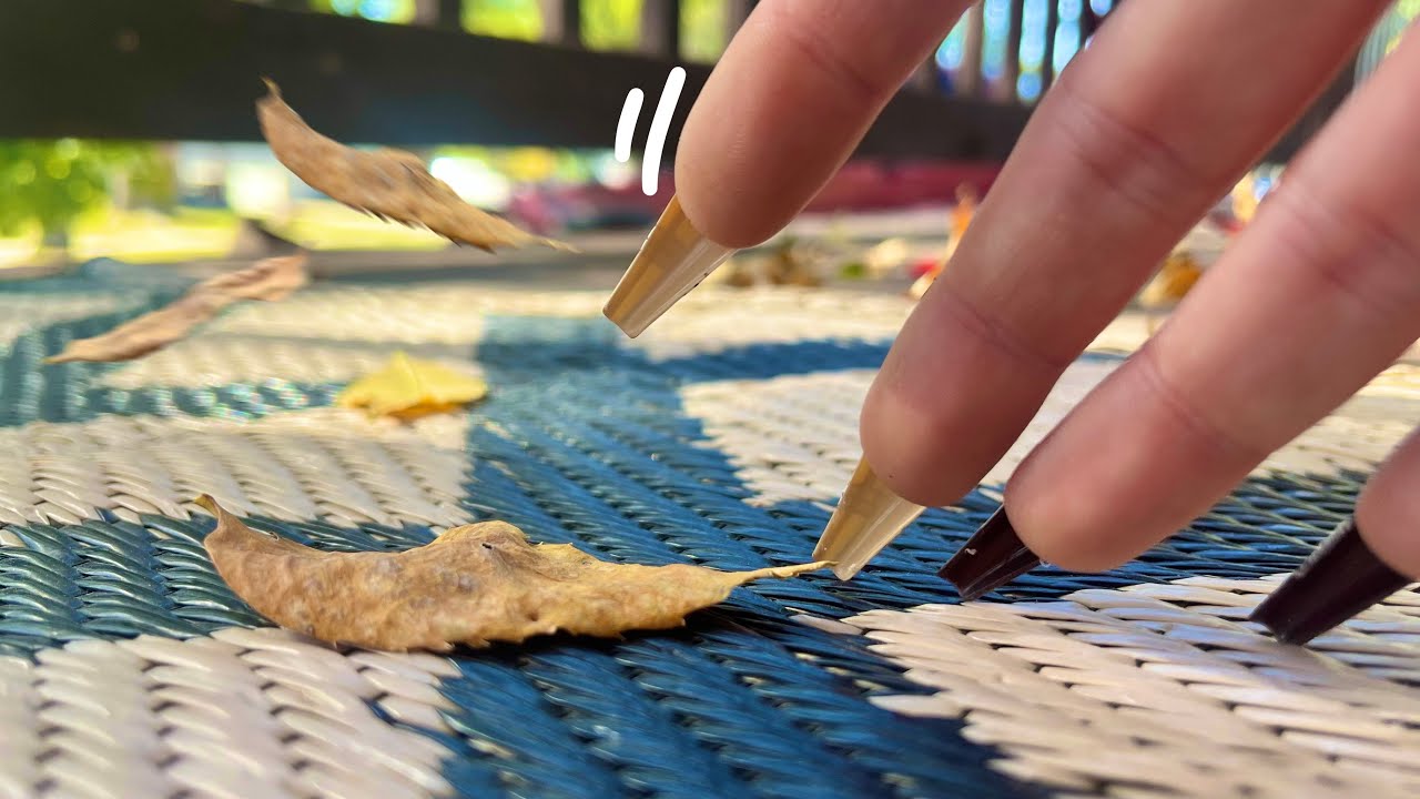 Intense Textured Surface Scratching & Tapping ASMR