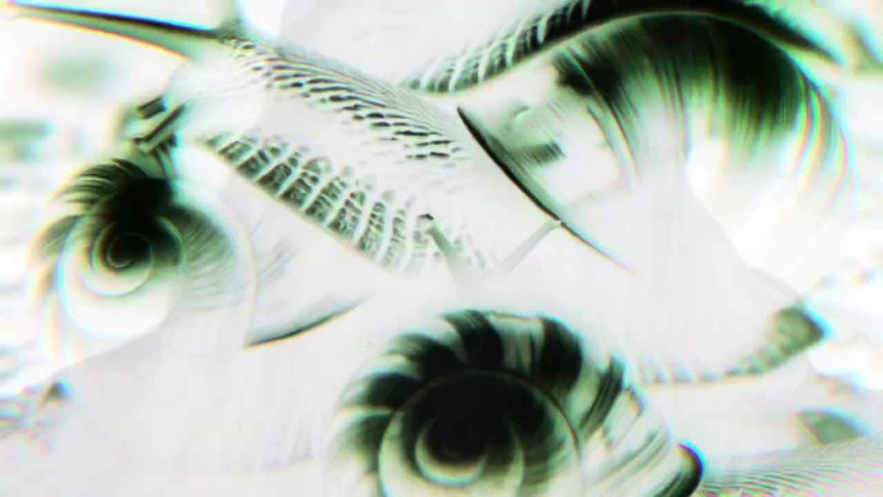 Watch LEAK-Snails Run on YouTube Watch LEAK-Snails Run on YouTube