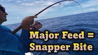 The Solunar Charts Were RIGHT! | Nonstop Snapper Action