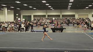 Xcel Sapphire 2024 MN State - Floor