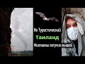 Миллионы Летучих мышей. Таиланд. Прямой эфир из инстаграм 26.12.2020