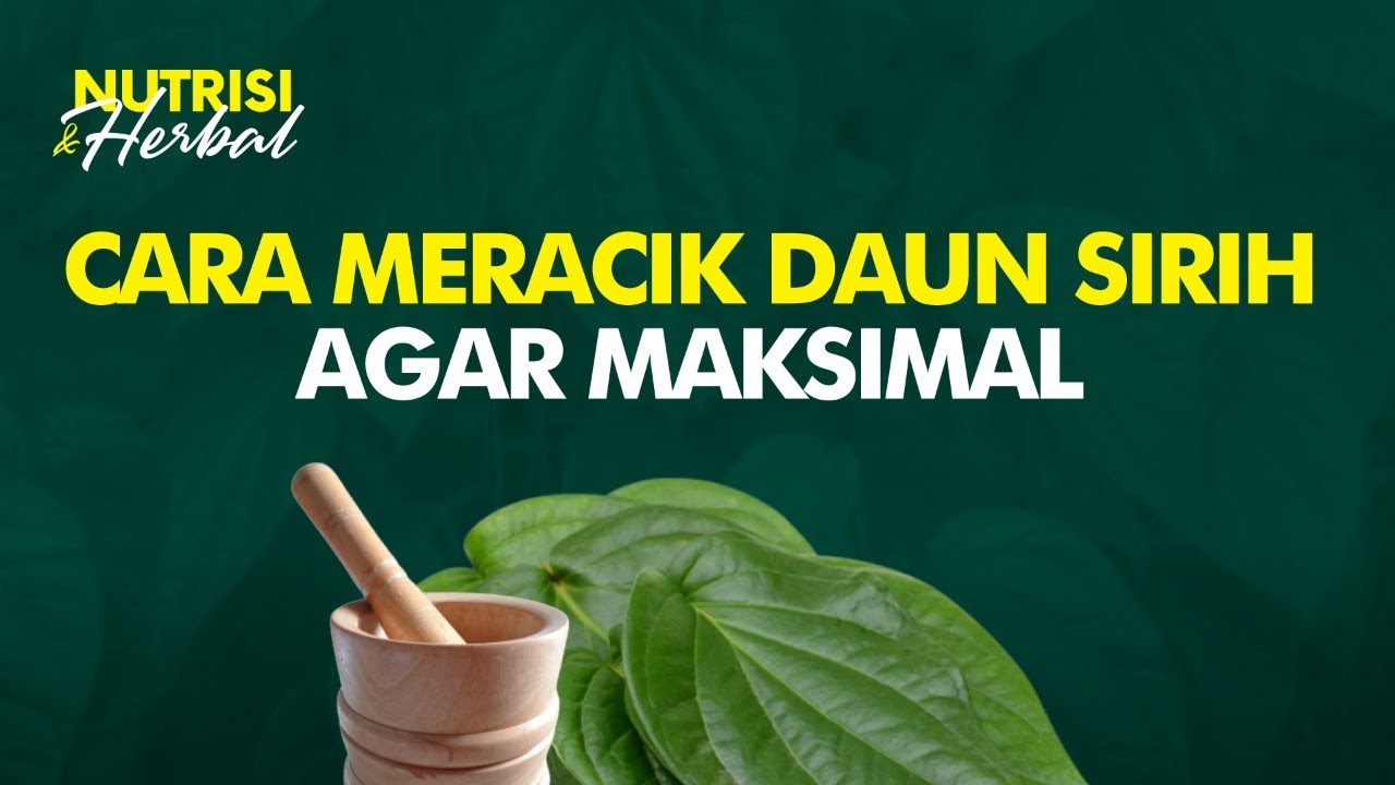 Mudah! Ramuan Daun Sirih Untuk Mengatasi Bau Badan Hingga Kewanitaan | Nutrisi & Herbal #35