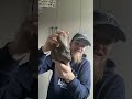 Fossil Collection Showcase 1#
