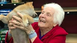 JOY FILLED GRANDMA VISITS PET STORE FOR FIRST TIME | Ross Smith
