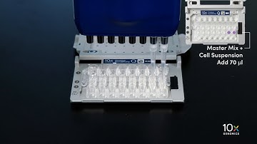 Single Cell Fixed RNA Profiling | Load Chromium Next GEM Chip Q