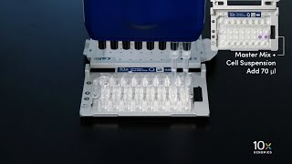 Single Cell Fixed RNA Profiling | Load Chromium Next GEM Chip Q