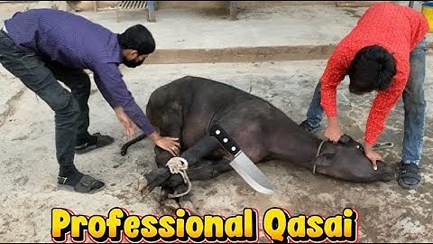 Amazing professional qasai | meat cutting professional qasai 