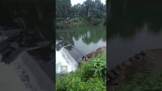 সবকিছু সমাধান হলো নামাজ॥ আলহামদুলিল্লাহ @prqbir seikh#isalmicvideo #viralvideo #shorts