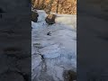 Winter waterfall no music #alaska #snow #waterfall