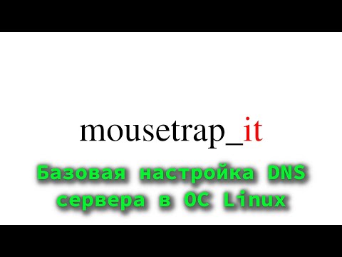 Базовая настройка DNS сервера на ОС Linux