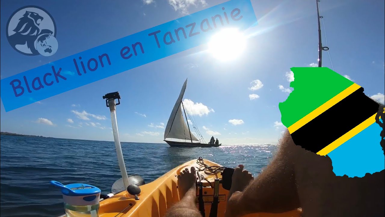 video catamaran black lion