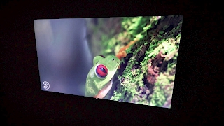 SAMSUNG 65″ 8000 Series – 4K SUHD Smart LED TV – 2160p, 240MR (Model#: UN65KS8000) Samsung UN65KS8000FXZA 65-inch 4K HDR TV Unboxing & Setup