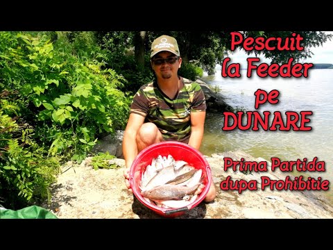 Video: Iunie Pescuit