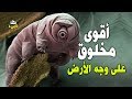 دب الماء (أقوى مخلوق على وجه الأرض) يعيش منذ ملايين السنين ولم يتطور!