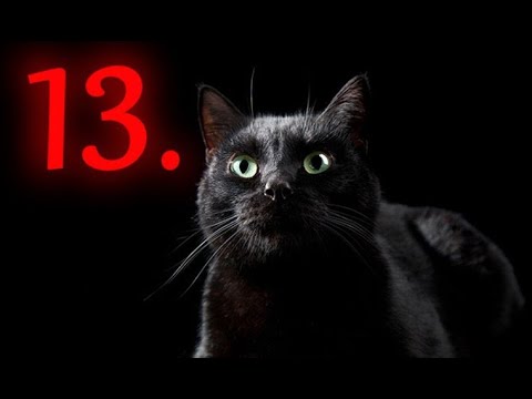 ТРИНАДЦАТЬ  БЕД  ОТДАТЬ  ЧЁРТОВОЙ   ДЮЖИНЕ   ДЛЯ  ВСЕХ  ВЕДЬМИНА  ИЗБА