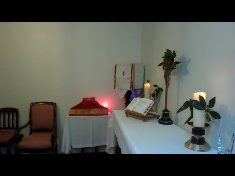 messe-dimanche-des-rameaux-et-de-la-passion-du-seigneur