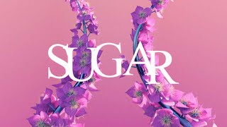 Sugar - (Flume Inspired Granular Sample Pack)
FIRST 30 PEOPLE TO USE CODE SUGAR15 get 15% off!
Check It Out here - https://lostaud.io/sugar
Download the FREE Beta Pack here: https://lostaud.io/pages/free-downloads
Crispy, earthy, and grainy goodness in the form of sonics. Sugar was conceptualized through heavy inspiration drawn from one of our generations most innovative artists, Flume. Much like the aesthetics of his latest works, Palaces, our new premium collection comprises one shots and loops in the varieties of granular, drums, FX, pads and vocal sounds, allowing you to spark your creativity whilst levelling up the quality of your productions instantaneously. The sounds of tomorrow made available to you today.
Pack Contains:
720+ Samples
21 MIDI Files
Melodic Loops
Drum Loops
Pads
& More
2.11 GB of Sound Sugar - (Flume Inspired Granular Sample Pack)