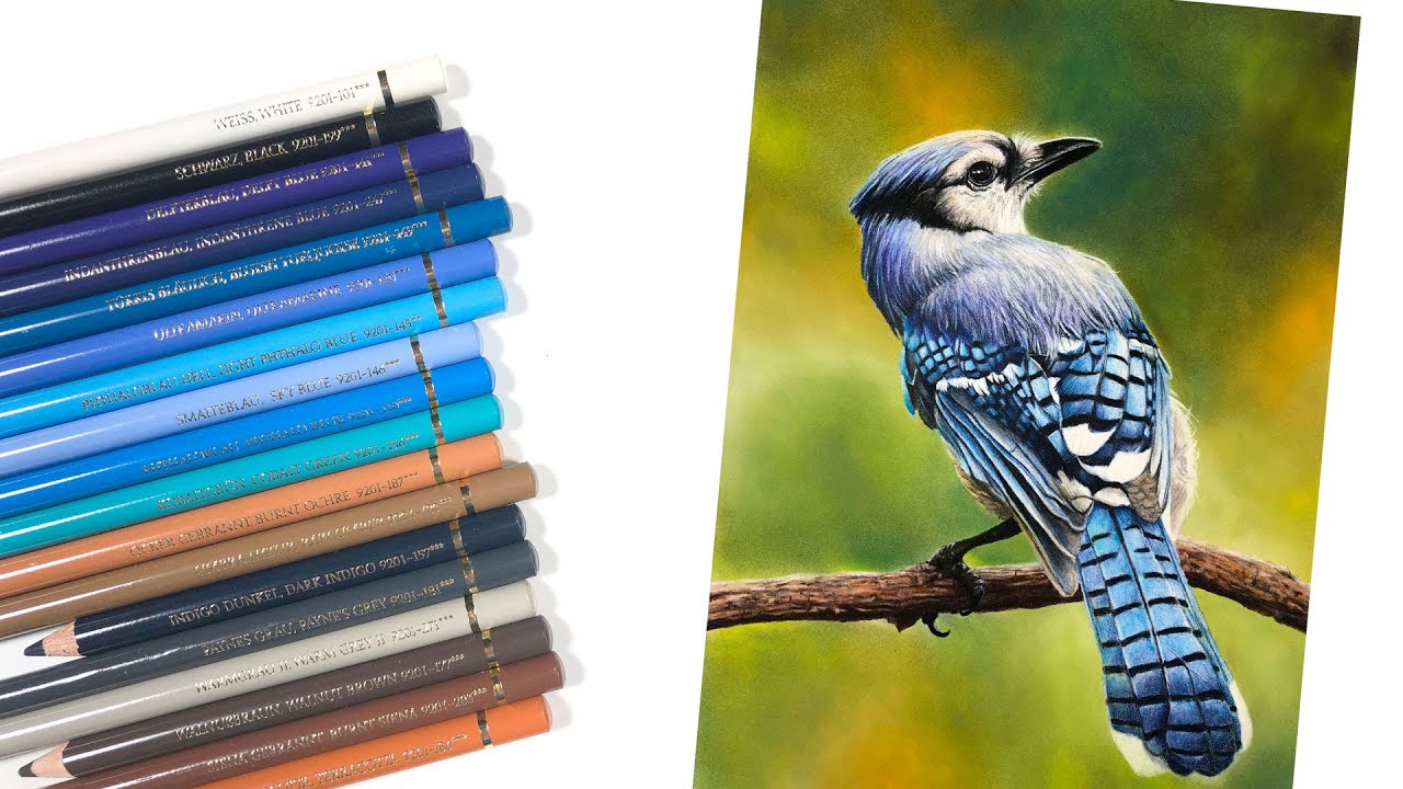 Sudhanjali Arts - Cute little bird... Color Pencil Sketch... | Facebook