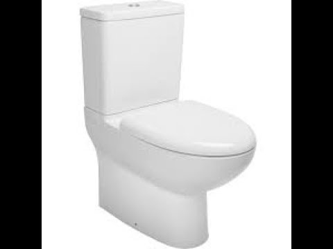 Poop Toilet Roblox - toilet hat roblox