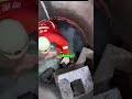 Dog Saved By His Hero!