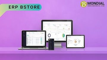 ERP B STORE: Simplify Your Business Management with Real-Time Control