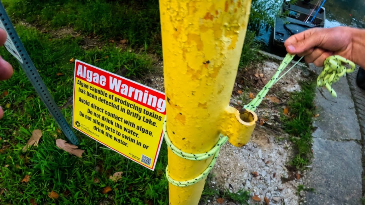 Bass Fishing a TOXIC LAKE !