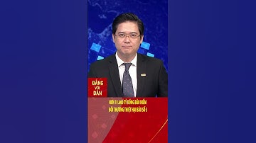 Hơn 11.600 tỷ đồng bảo hiểm bồi thường thiệt hại bão số 3 | Đảng với Dân