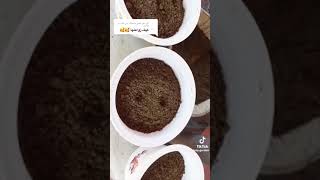 طريقة زراعة الفراوله