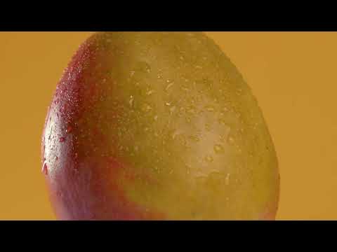 آيس كريم سوربيه من جوردينا    